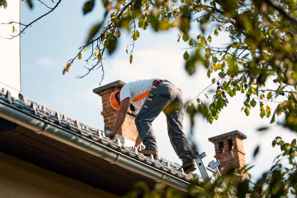 Best Shingle Roofing Installation  in Resaca, GA