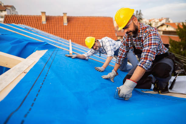 Roof Gutter Cleaning in Resaca, GA